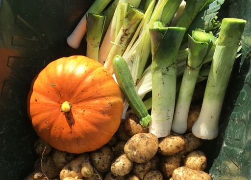 Grand panier légumes et préparations du Manil