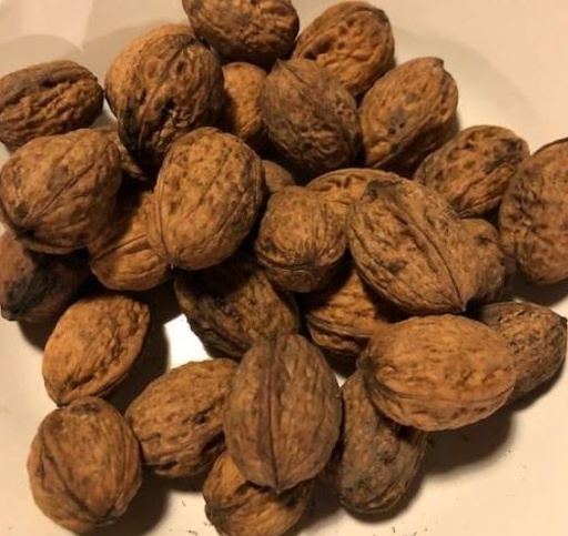 Noix (500gr)