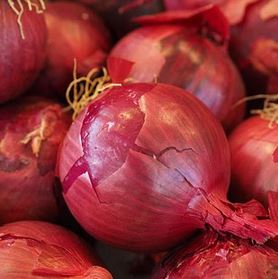 Oignons rouges (Belgobio - 500g)