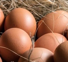 Oeufs (par 6)